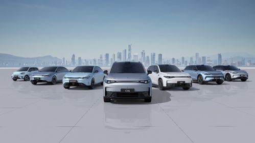 零跑汽车2024上半年财报分析 交付量创历史新高，营销网络持续优化助力销售增长